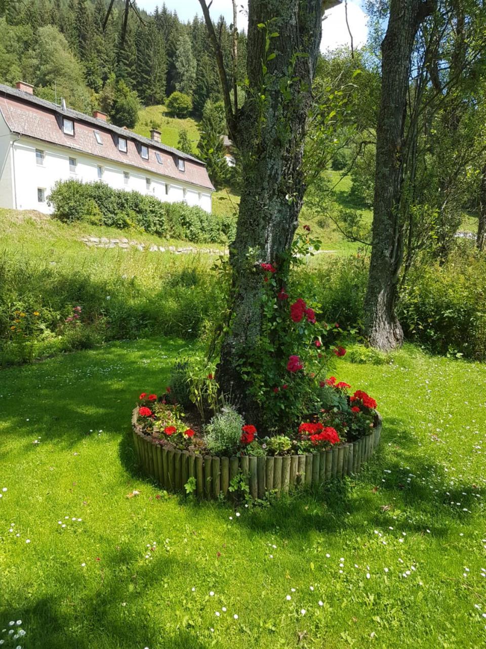 Riverside Ski Apartment Ramingstein Buitenkant foto